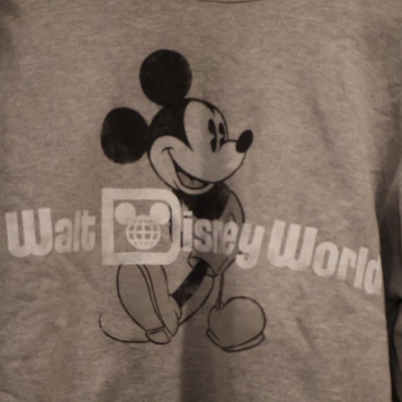 Walt Disney World Medium Unisex Gray Crewneck - Picture 2 of 6
